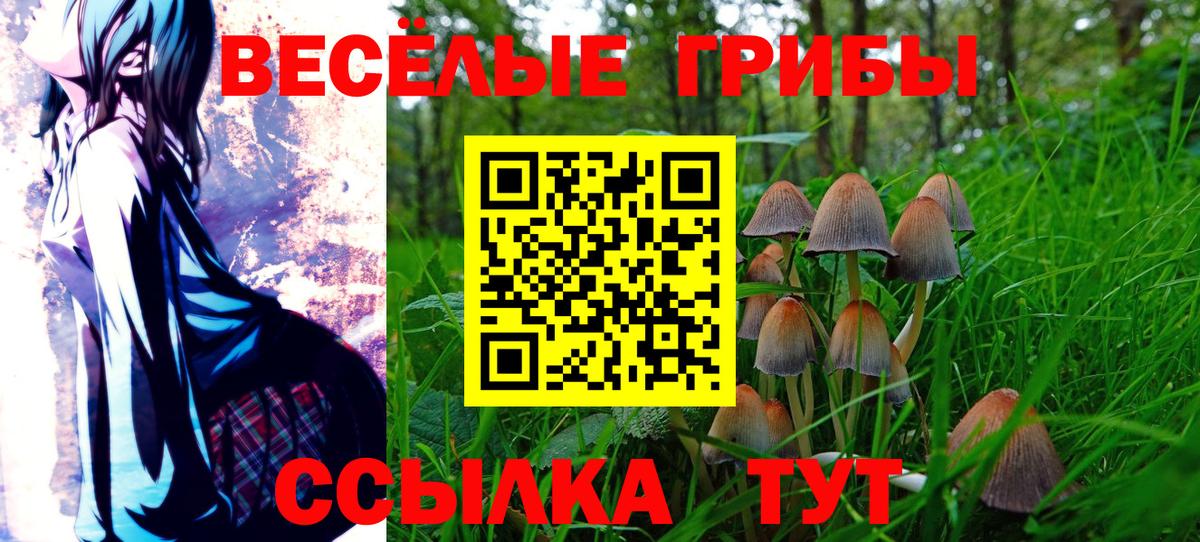 ГАШ  ГАШ  NBOMe  Конопля  Черногорск  Вход с VPN  Меф МЯУ МЯУ  
